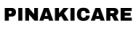 Pinaki Socio Care Foundation